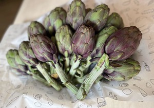 Fresh Artichokes
