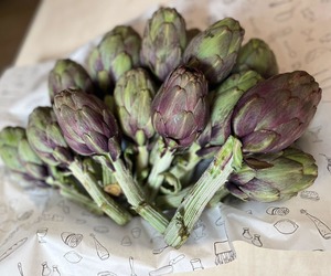 Fresh Artichokes