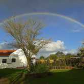 Rainbow - Klein Koraalboom - Xplorio™ Botriver