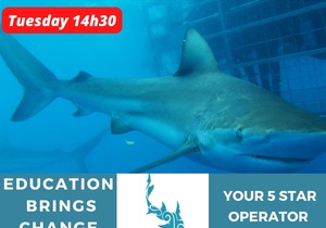 Next Marine Dynamics Shark Cage Diving Trip: 25 October 2022