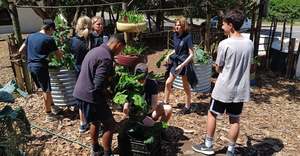 We're Back in Our Veggie Garden
