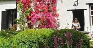 The Greyton Rose and Garden Fair is Here!