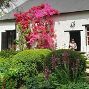 The Greyton Rose and Garden Fair is Here!