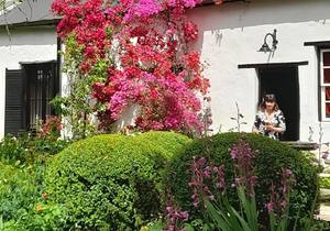 The Greyton Rose and Garden Fair is Here!