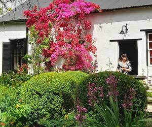 The Greyton Rose and Garden Fair is Here!