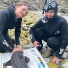 Shark - White Shark Projects - Xplorio™ Gansbaai Shark - White Shark Projects - Xplorio™ Gansbaai