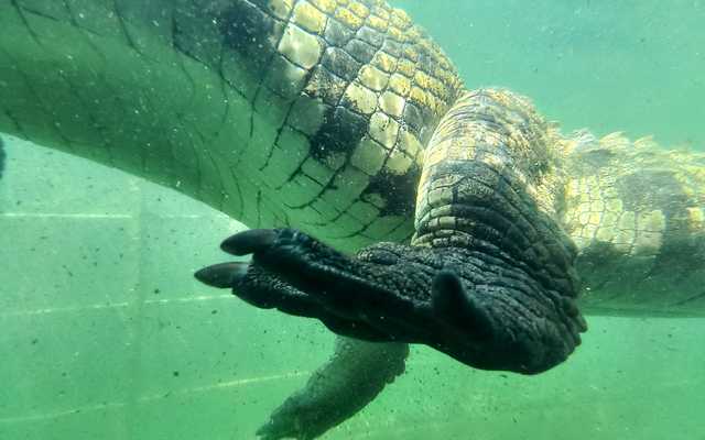 312894884_468556751921800_8141004342321542050_n_1666939066