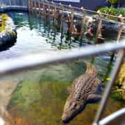 Year-End Team Building