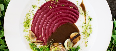 Schneider_s_image_featured_2_1667207134