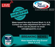Top Paints: Water-based Non-drip Enamel Black