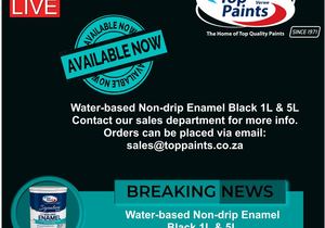 Top Paints: Water-based Non-drip Enamel Black