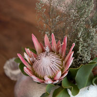 Whale & Gin Spotter - Xplorio™ Gansbaai 