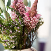 Whale & Gin Spotter - Xplorio™ Gansbaai 