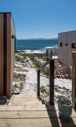 Whale_Gin_Spotter_image_14_1667227948