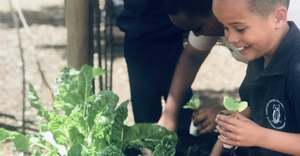 Planting New Veggies