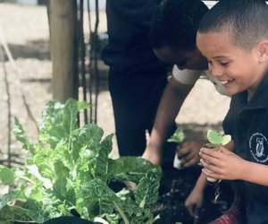 Planting New Veggies