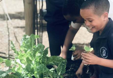 Planting New Veggies