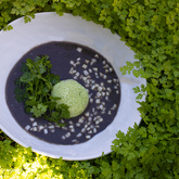 Schneider’s Cape Floral Kitchen - Xplorio™ Gansbaai 