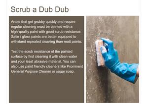 #FastTipTuesday: Paint with Good Scrub Resistance