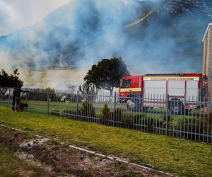 Make Sure You Are Wildfire Compliant: Clear Overgrown Erven