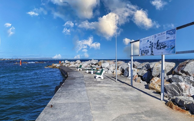 314365308_599218242209378_2691567465293239569_n_1667470334