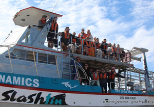 Daily Blog: 06 November 2022 | Shark Cage Diving in South Africa