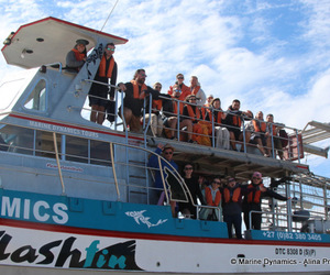 Daily Blog: 06 November 2022 | Shark Cage Diving in South Africa