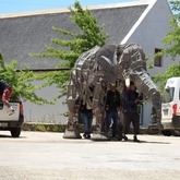 Elephant - Barrydale Giant Puppet Parade - Xplorio™ Barrydale