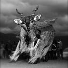 Kudu - Barrydale Giant Puppet Parade - Xplorio™ Barrydale