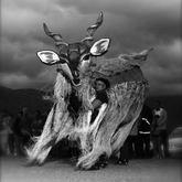 Kudu - Barrydale Giant Puppet Parade - Xplorio™ Barrydale