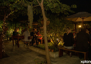 Sunday Sounds (Live Music Every Second Sunday)