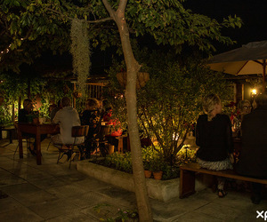 Sunday Sounds (Live Music Every Second Sunday)