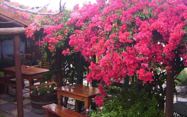 WhatsApp_Image_2022_11_10_at_11.12.54_AM_1668091520