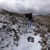 Ziplining through a mountain snow globe - Cape Canopy Tours -  Xplorio™ Grabouw