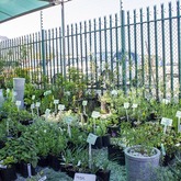 Nursery - Gansbaai Build it Plus - Xplorio™ Gansbaai 