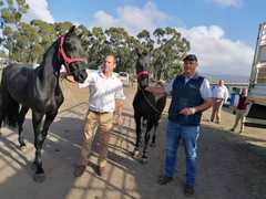 SA Flaam Skou, Moreesburg