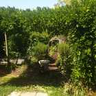 Garden - Foxy House - Xplorio™ Gansbaai