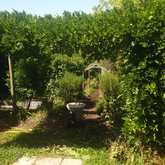 Garden - Foxy House - Xplorio™ Gansbaai