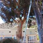 Tidying up at Sanbona - Cape Tree Services - Xplorio™ Barrydale