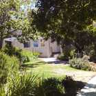 Tidying up at Sanbona - Cape Tree Services - Xplorio™ Barrydale