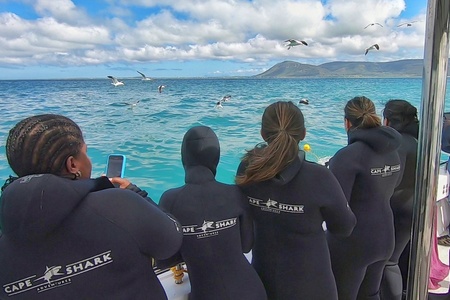cape_shark_adventures_gansbaai_16_1668765107