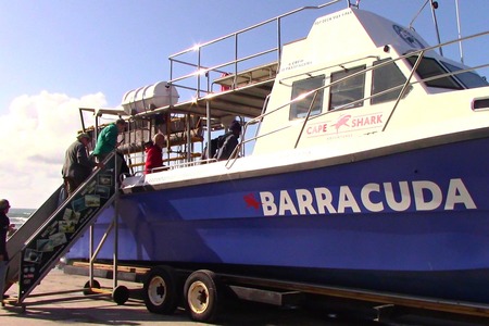 cape_shark_adventures_gansbaai_4_1668765138