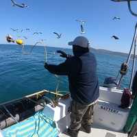 Cape Shark Adventures - Xplorio™ Gansbaai 