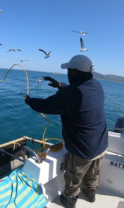 cape_shark_adventures_gansbaai_14_1668765153