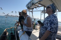 cape_shark_adventures_gansbaai_12_1668765168