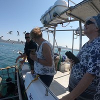 Cape Shark Adventures - Xplorio™ Gansbaai 