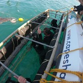 Cape Shark Adventures - Xplorio™ Gansbaai 