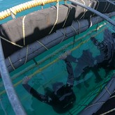 Cape Shark Adventures - Xplorio™ Gansbaai 