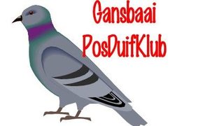  Gansbaai Posduifklub