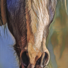 Horse - Creative Napier - Xplorio™ Napier